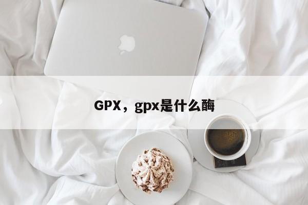 GPX，gpx是什么酶