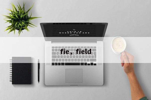 fie，field