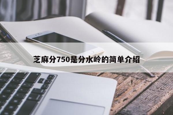 芝麻分750是分水岭的简单介绍