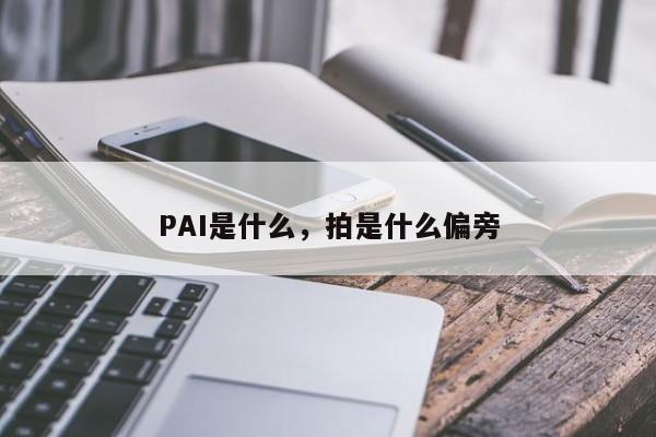 PAI是什么，拍是什么偏旁