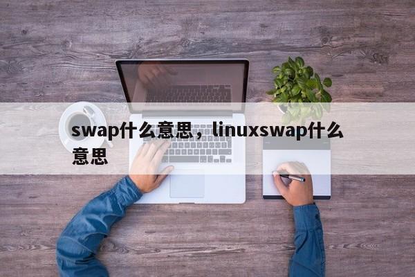 swap什么意思，linuxswap什么意思