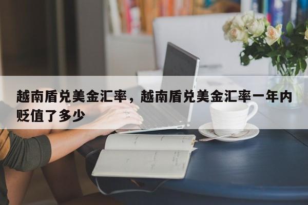 越南盾兑美金汇率，越南盾兑美金汇率一年内贬值了多少