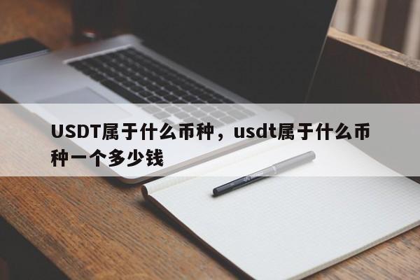 USDT属于什么币种，usdt属于什么币种一个多少钱
