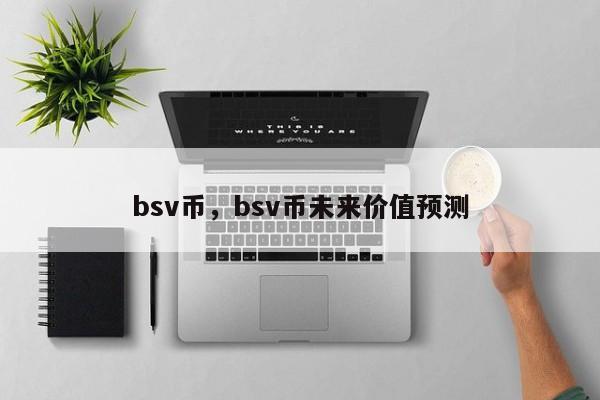 bsv币，bsv币未来价值预测