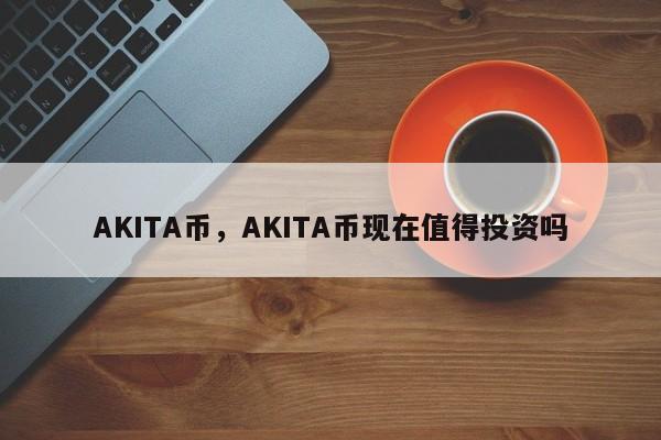 AKITA币，AKITA币现在值得投资吗