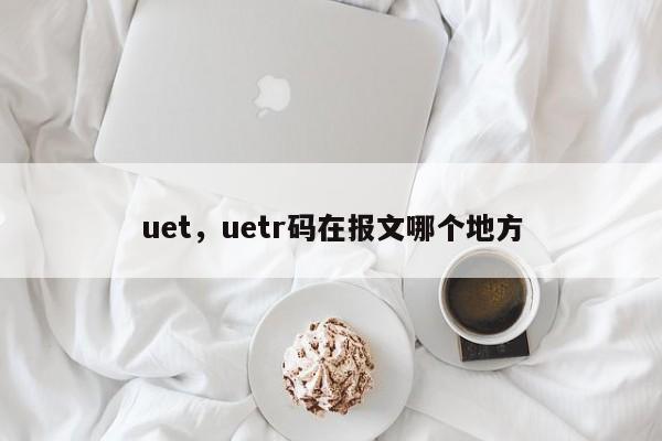 uet，uetr码在报文哪个地方