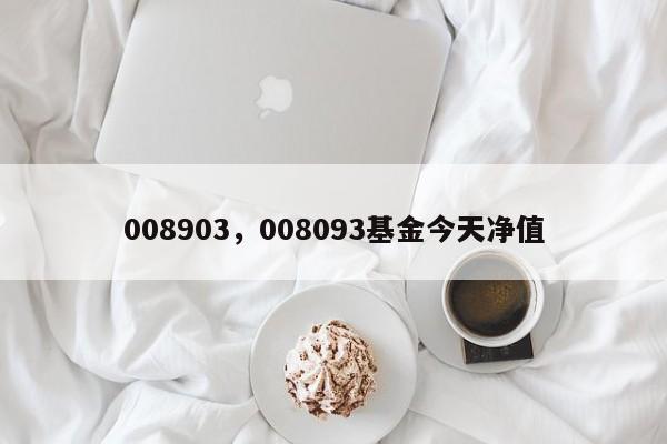 008903，008093基金今天净值