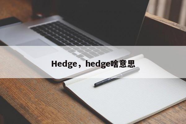 Hedge，hedge啥意思