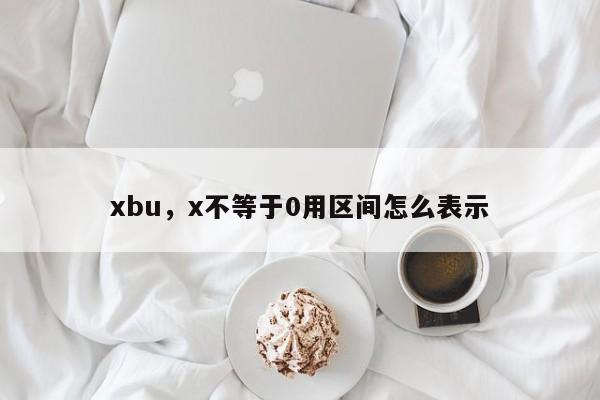xbu，x不等于0用区间怎么表示