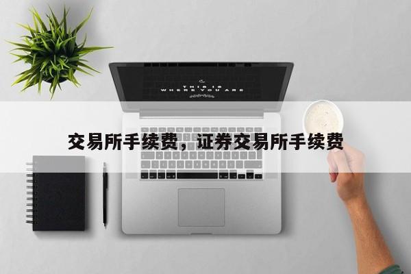 交易所手续费，证券交易所手续费