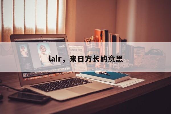 lair，来日方长的意思