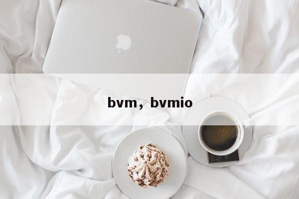 bvm，bvmio