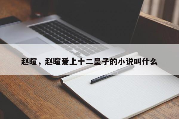 赵暄，赵暄爱上十二皇子的小说叫什么