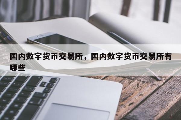 国内数字货币交易所，国内数字货币交易所有哪些
