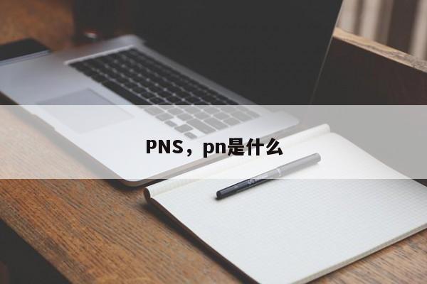 PNS,pn是什么