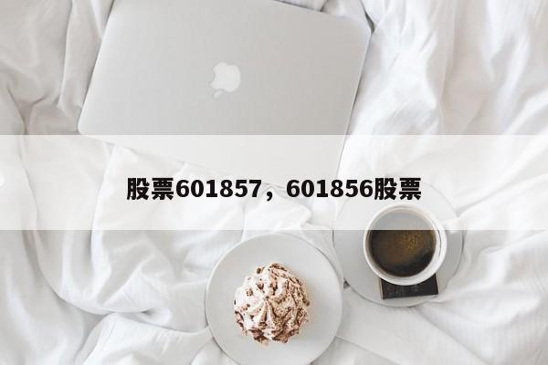 股票601857,601856股票
