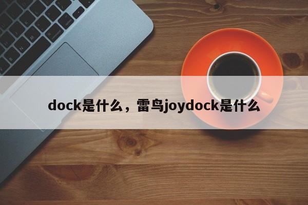 dock是什么,雷鸟joydock是什么