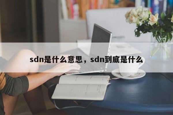 sdn是什么意思，sdn到底是什么
