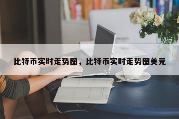 比特币实时走势图，比特币实时走势图美元