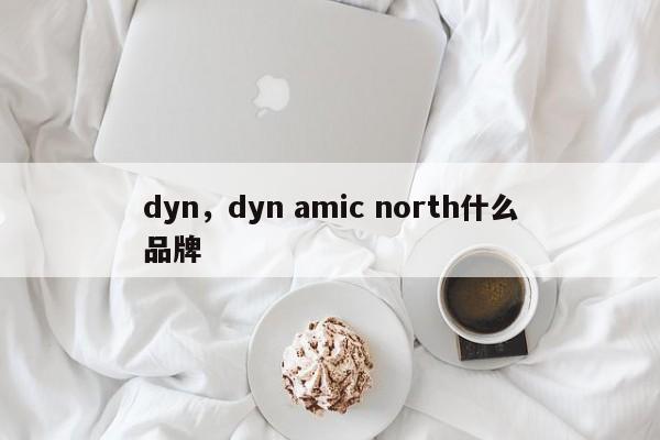 dyn，dyn amic north什么品牌